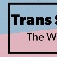 Trans Studies Now